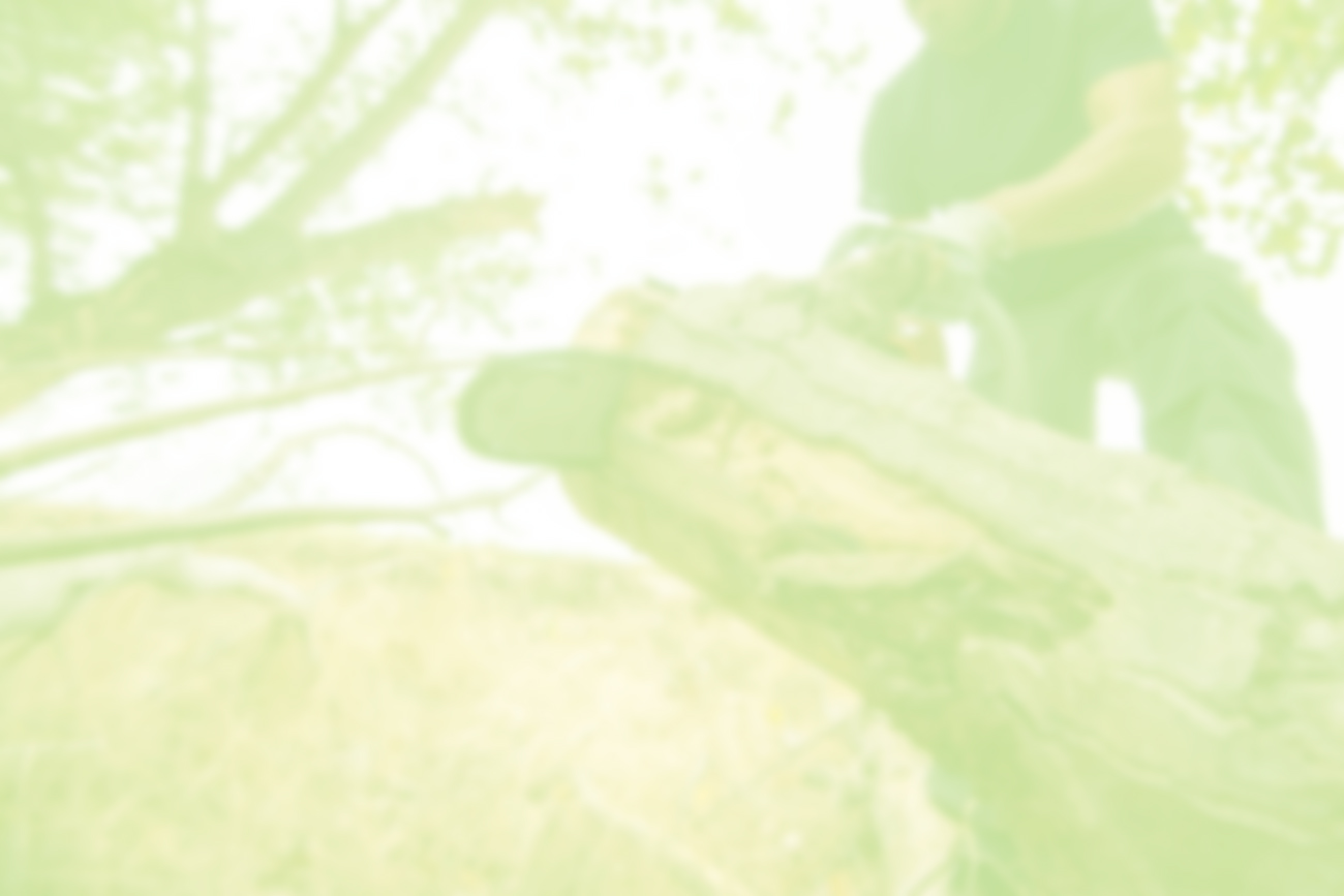 banner—2